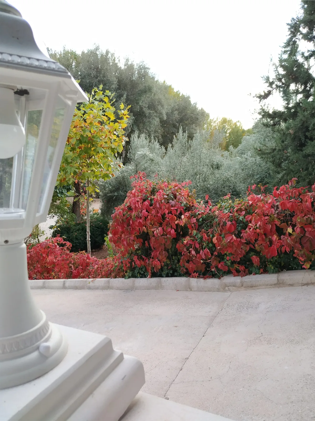 Zona de estar al aire libre