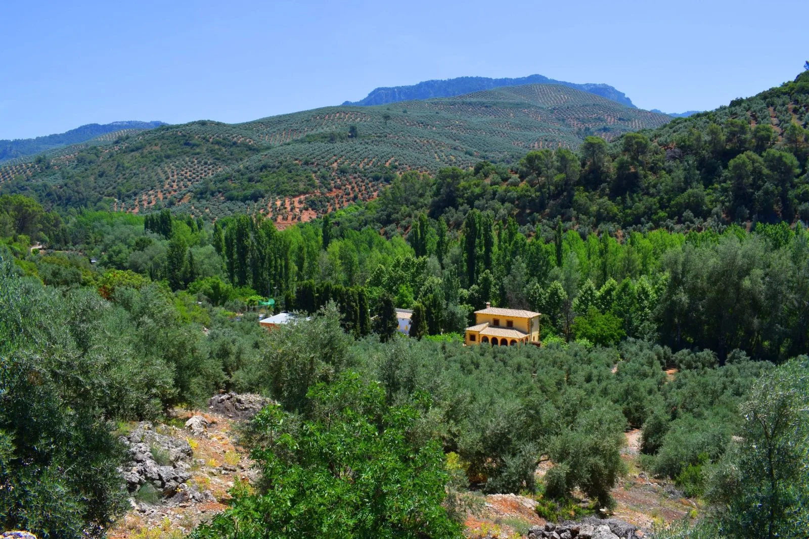 Exteriores y jardín de la casa rural