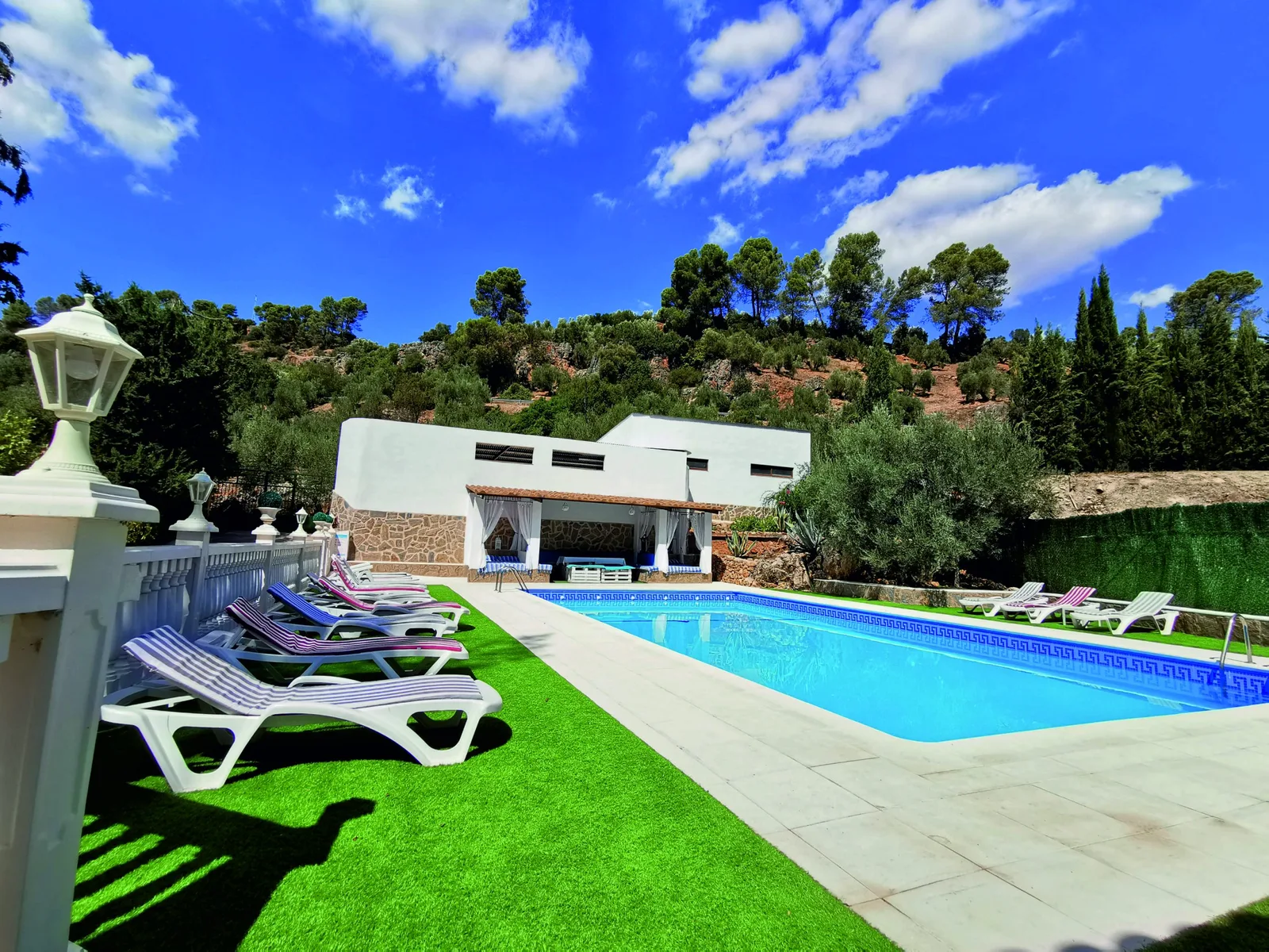 Piscina rodeada de vegetación